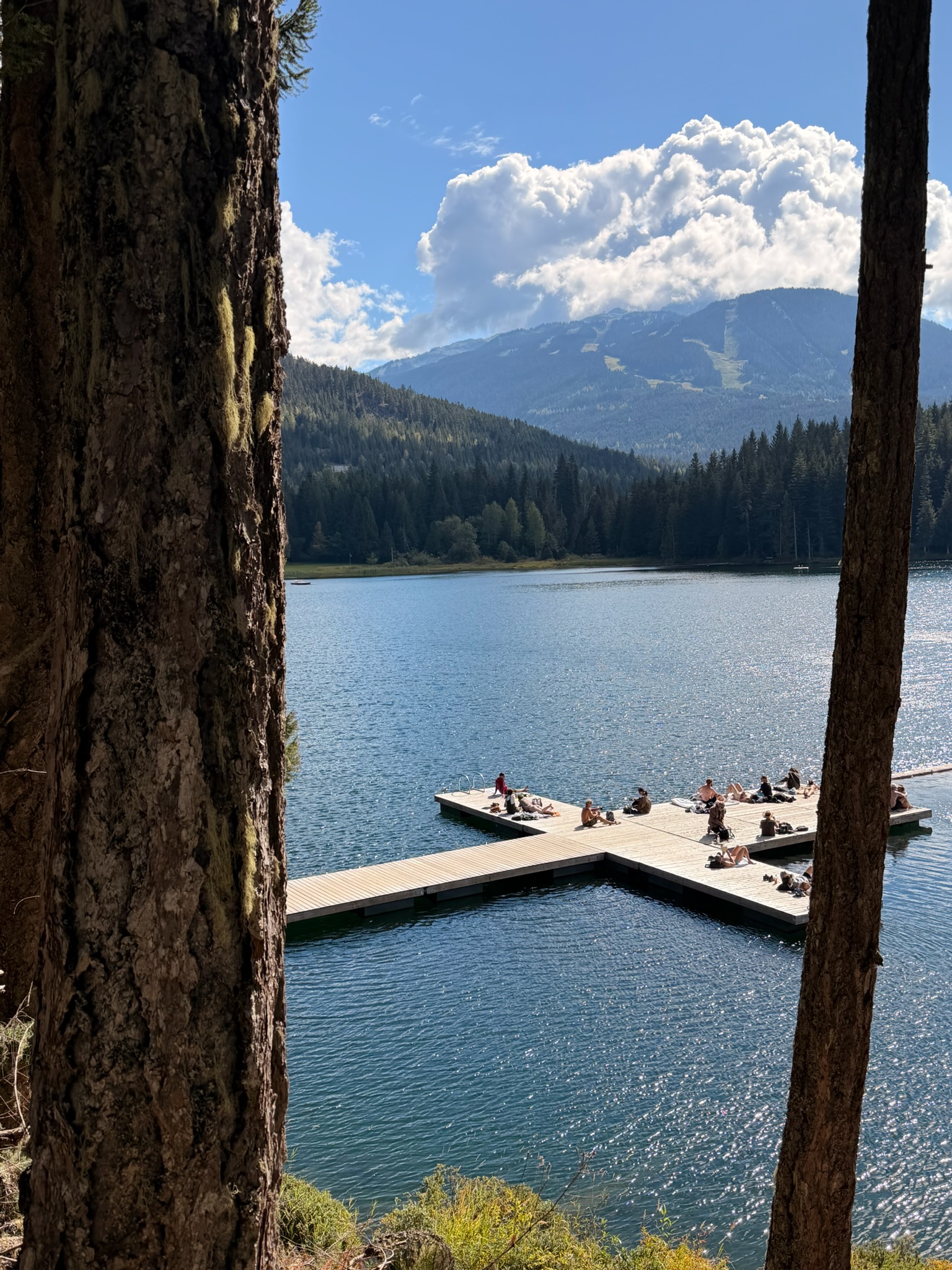 Mountain lake and dock framed by trees